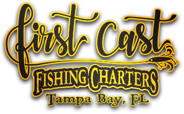 St. Pete Fishing Charters
